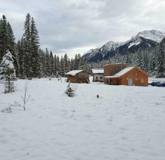 旅馆 Ammerwald Alm