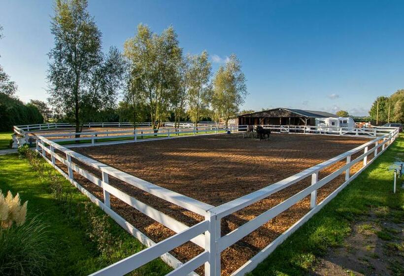 Luxus Resort Rügen Residenz Kubitzer Bodden