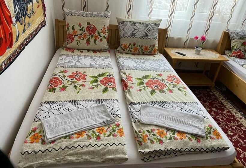 پانسیون Camere De închiriat Floarea Reginei