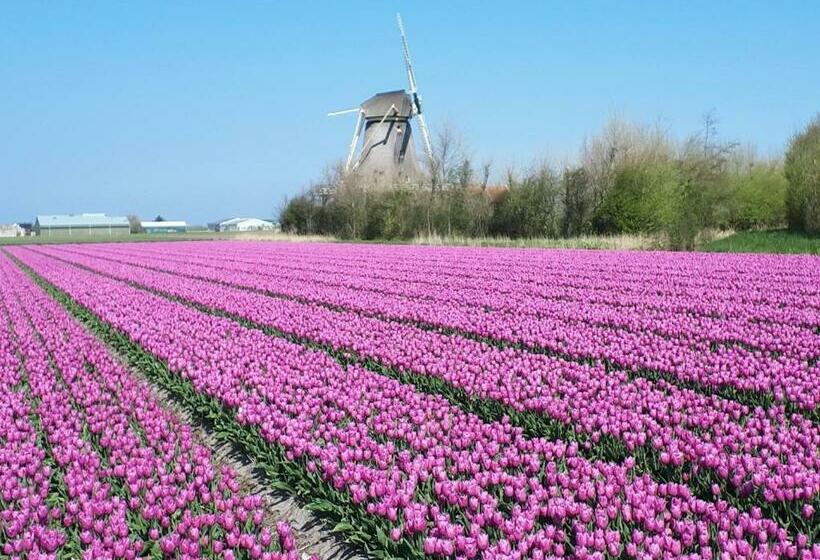 B&b De Keinsmer