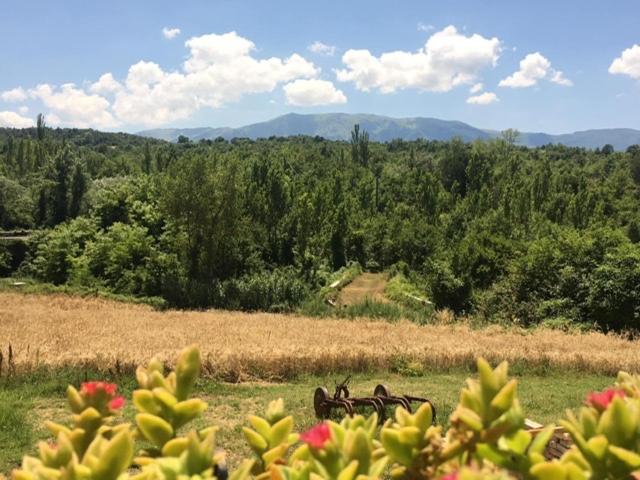 مبيت وإفطار Bed&breakfast La Ginestra