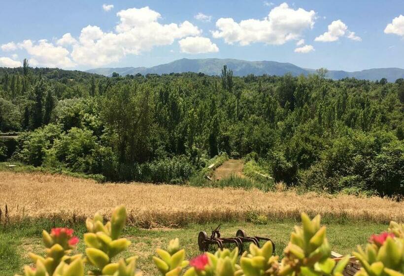 مبيت وإفطار Bed&breakfast La Ginestra