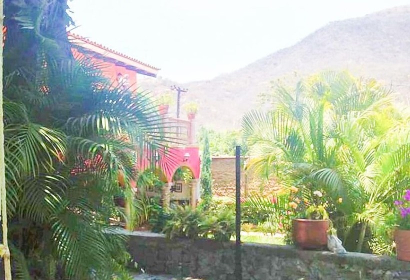 فندق Casa Corita