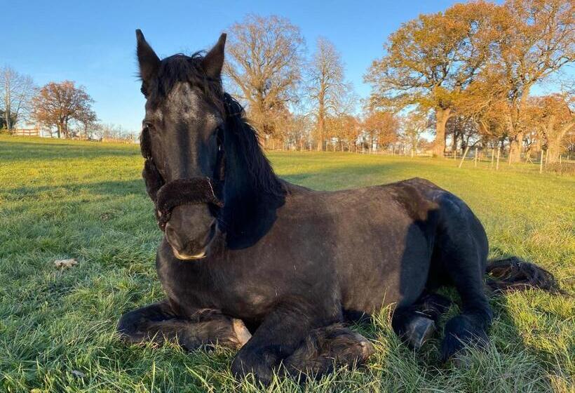 פנסיון Chambre Romantique Dans Le Château De La Bouchatte