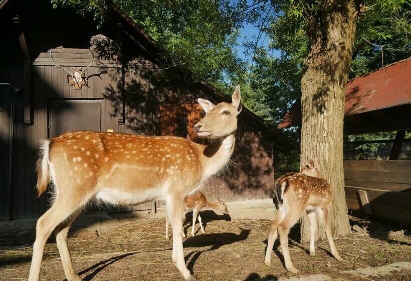膳宿费 Penzion Obora
