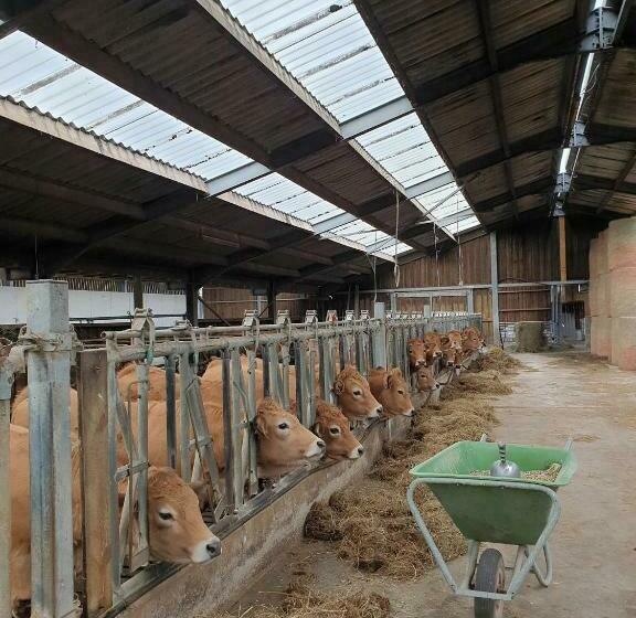 B&b La Ferme Du Château De Broich