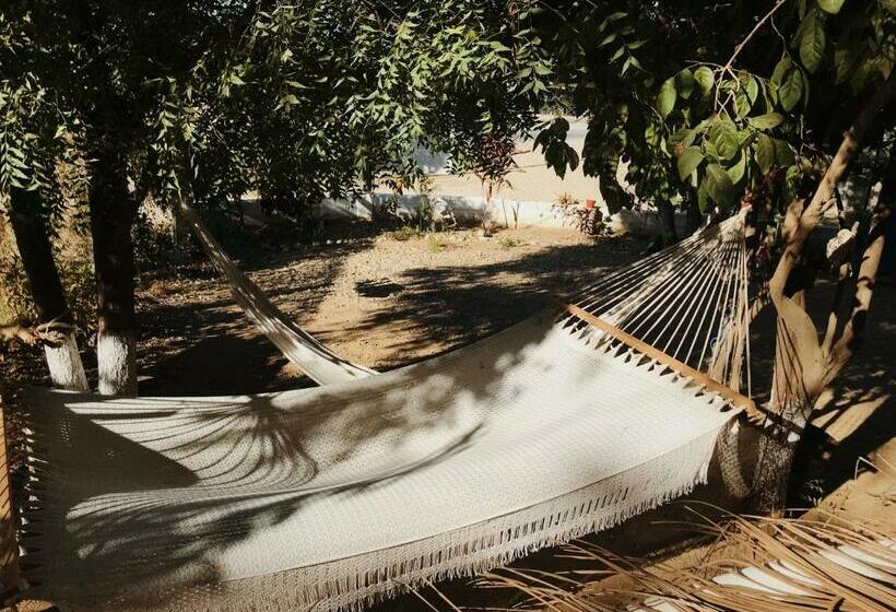 بنسيون Coco Viejo Posada