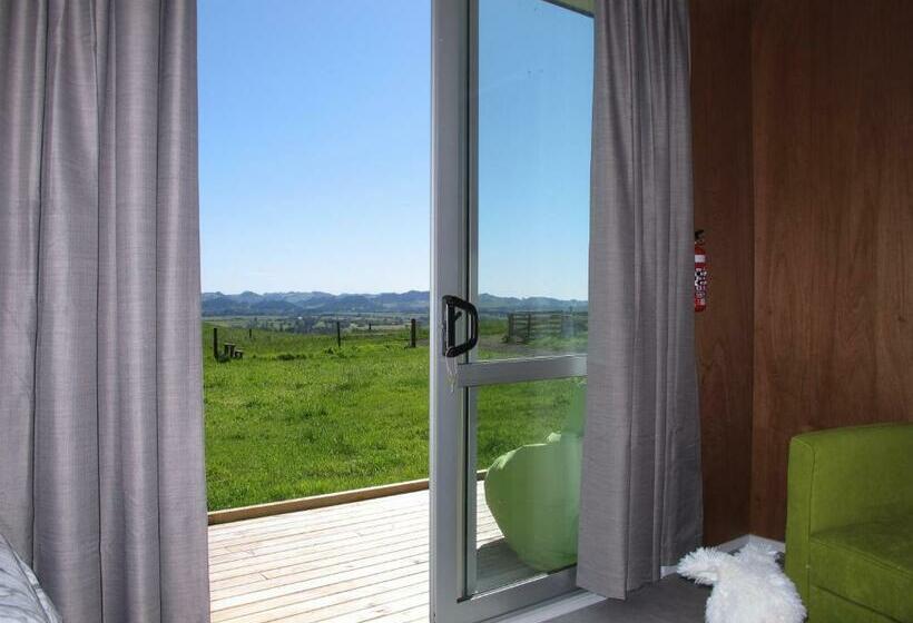 פנסיון Waihi Gold Alpacas 3 Or 4 People