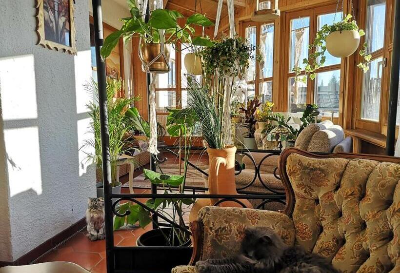 Bed and Breakfast Edel Weiss Gästezimmer