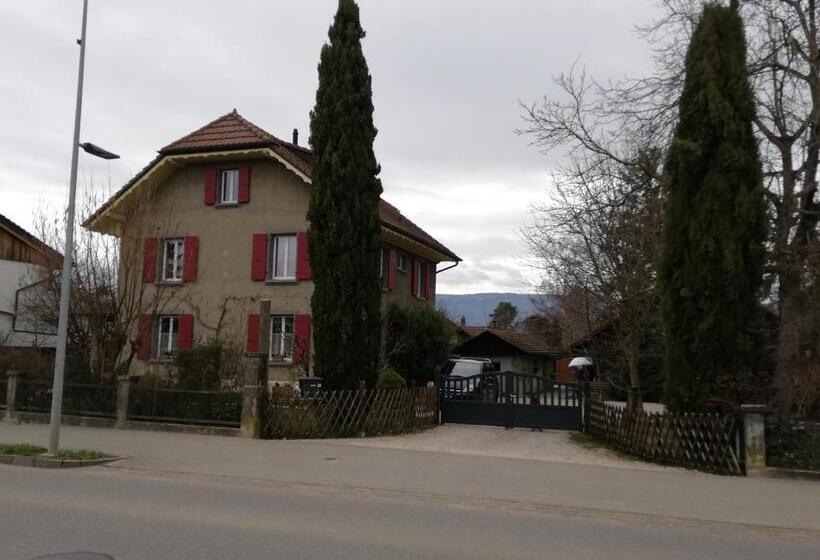 Bed & Breakfast Lucky Duck