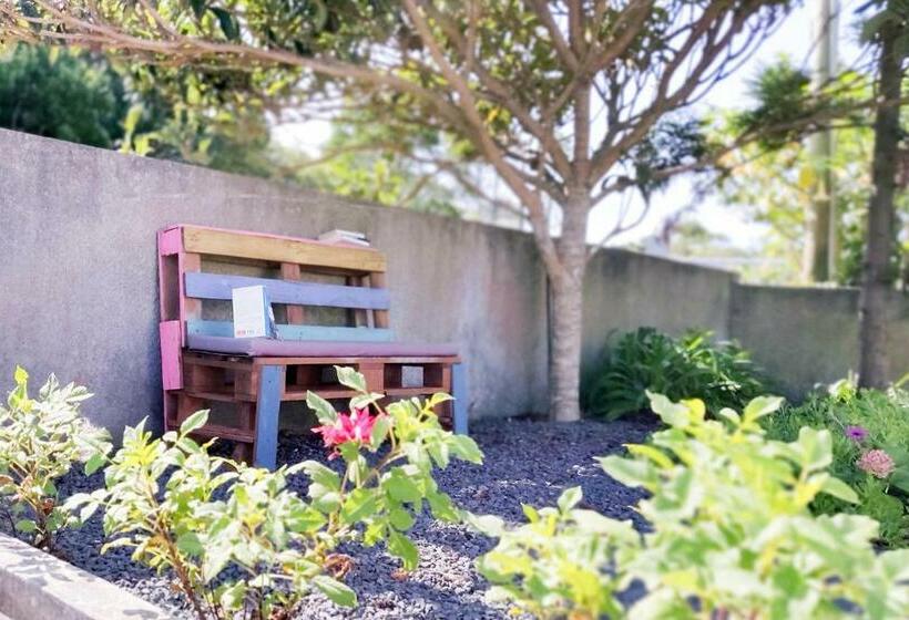 مبيت وإفطار Rainbow Guest House