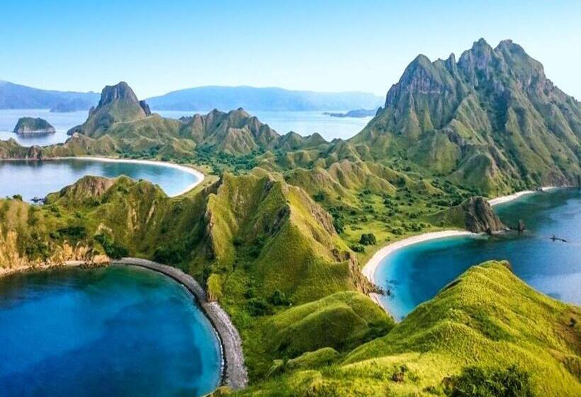 هتل Villa De Owis