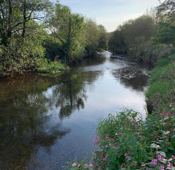 펜션 The Reindeer Retreat Buttercup Twin