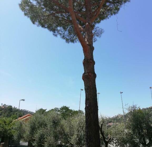 مبيت وإفطار Ca Du Angiulin