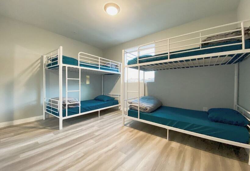 مبيت وإفطار Modern Hostel