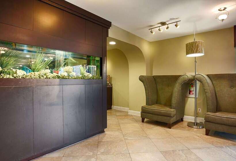 בית מלון כפרי Best Western Zachary Inn