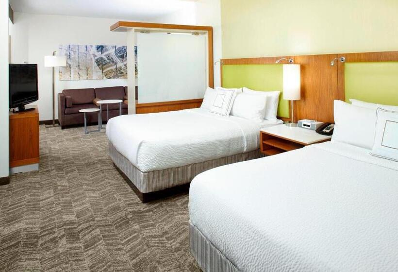 Springhill Suites Houston Intercontinental Airport