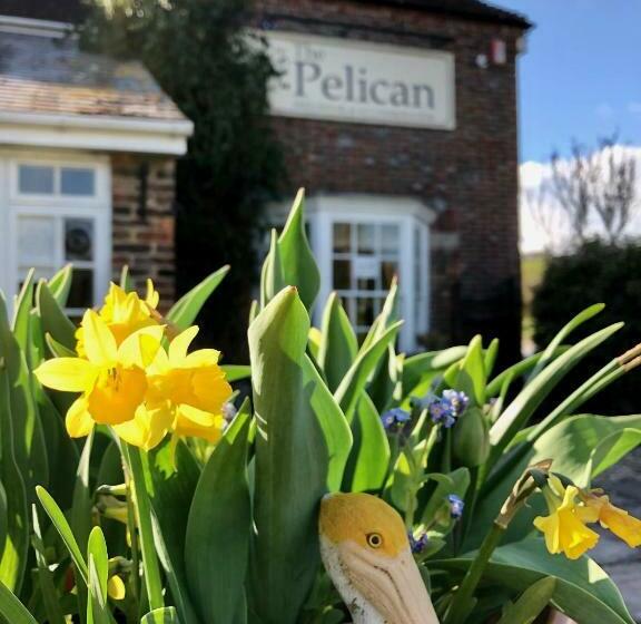 فندق صغير The Pelican Inn