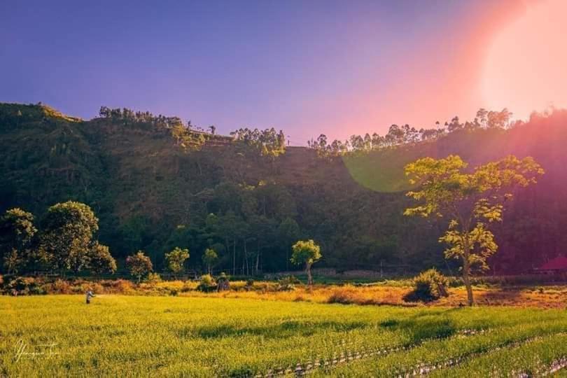 민박 Alam Bali Lake View