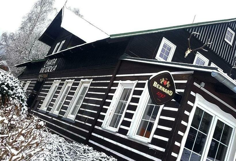 پانسیون Krkonošská Chata Viktorka