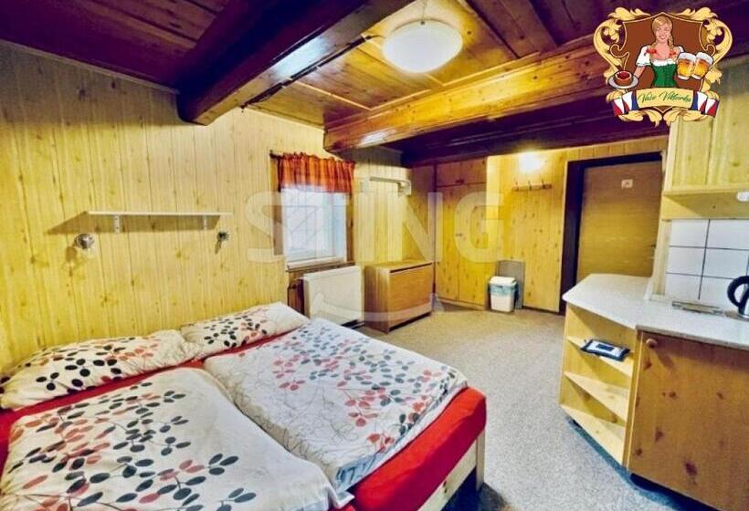 پانسیون Krkonošská Chata Viktorka