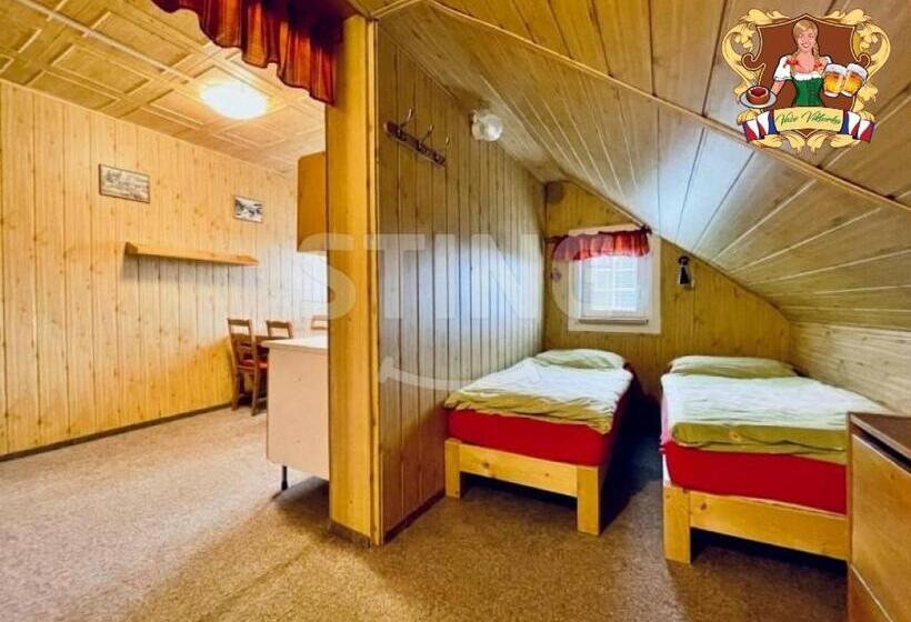 پانسیون Krkonošská Chata Viktorka