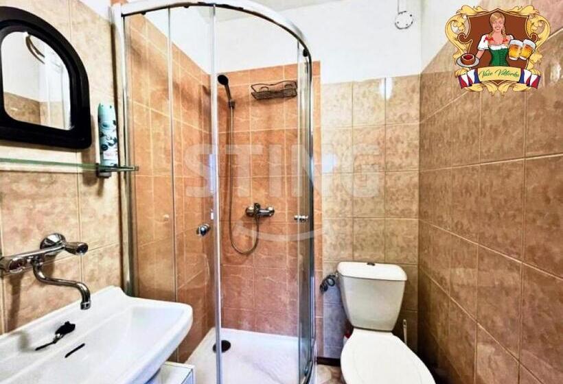 پانسیون Krkonošská Chata Viktorka