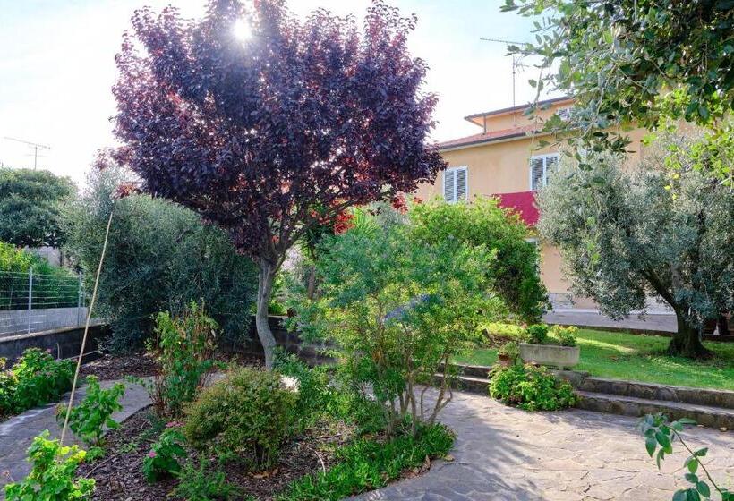 بنسيون Olioealloro B&b