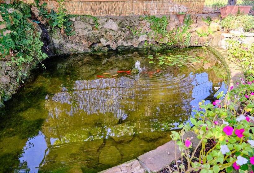 بنسيون Olioealloro B&b