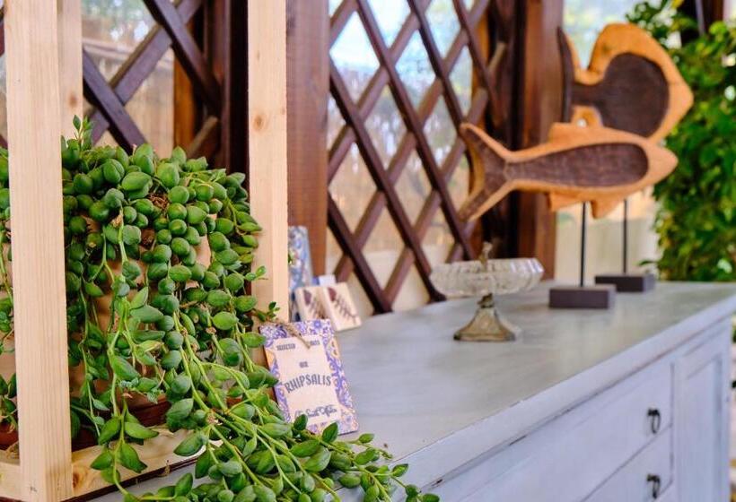 بنسيون Olioealloro B&b