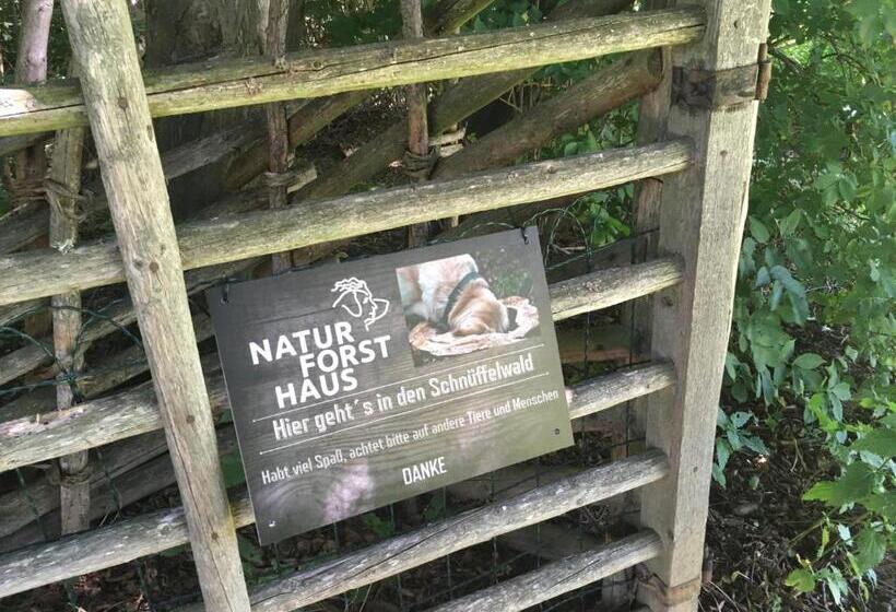 住宿加早餐  Naturforsthaus Eddas Zimmer Für Hunde   Und Naturverbundene Menschen