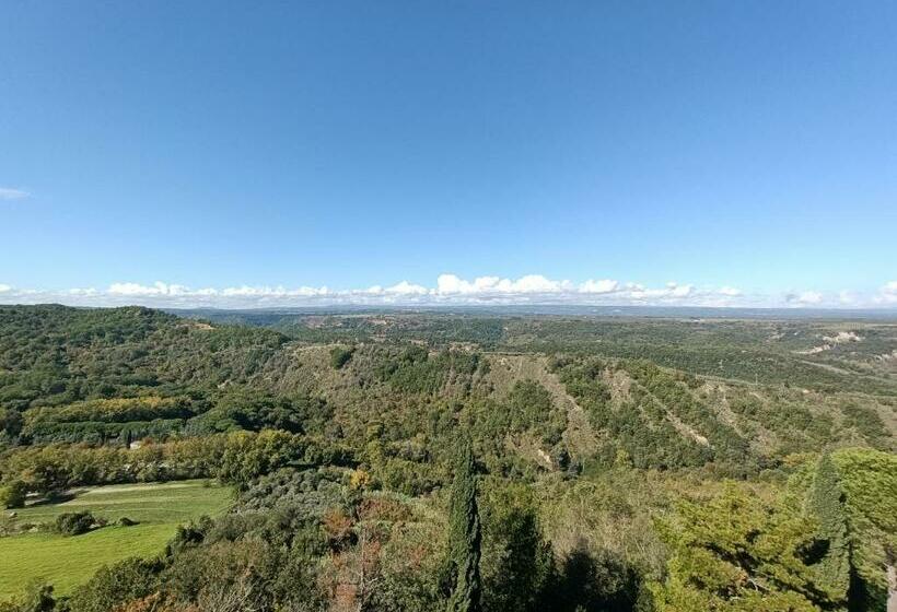 B&b Il Grifo