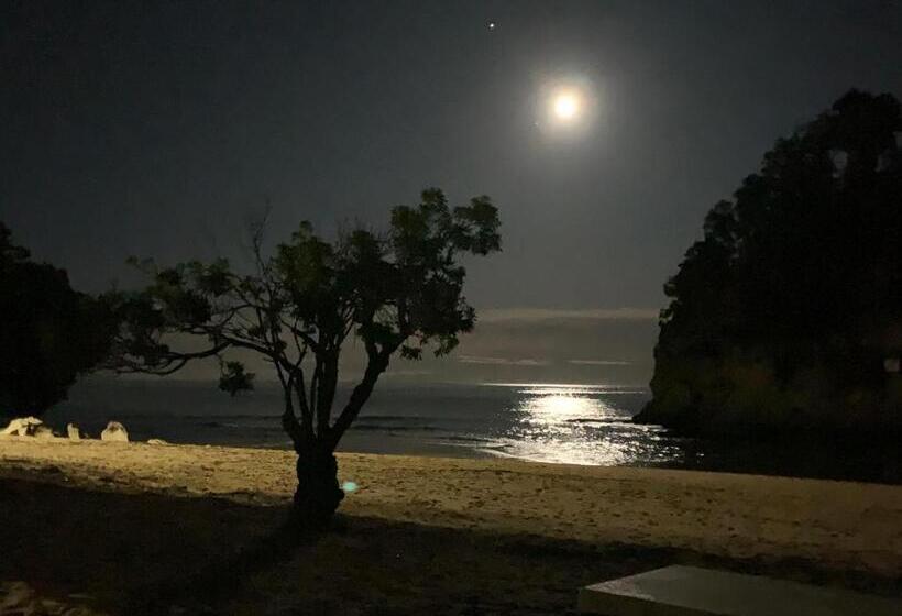 مبيت وإفطار Kaiteriteri Retreat