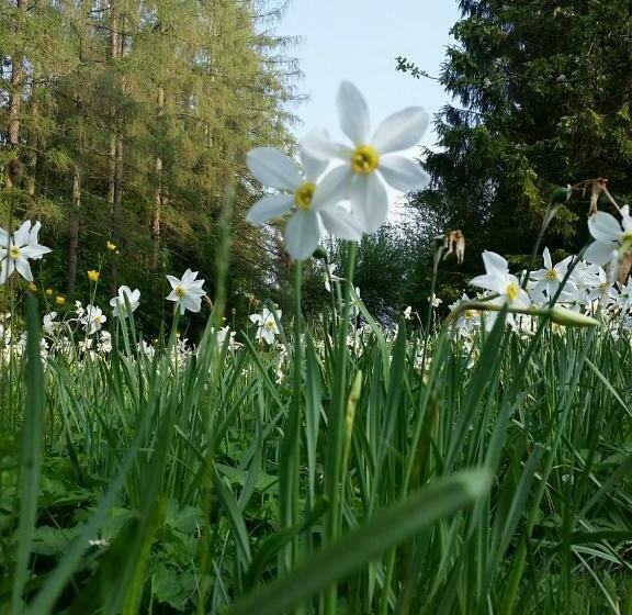 Sporthotel Grünau   Wimmergreuth