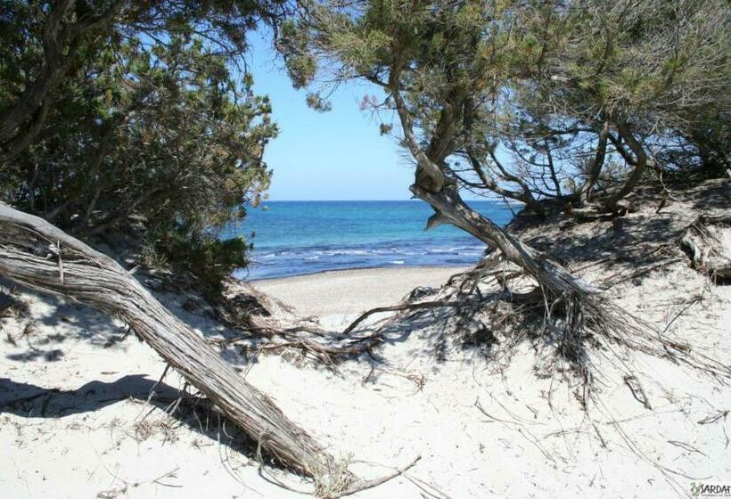 פנסיון Bed & Blu