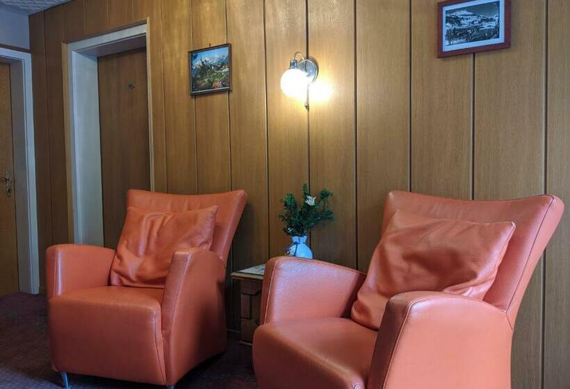 بنسيون Montahaus