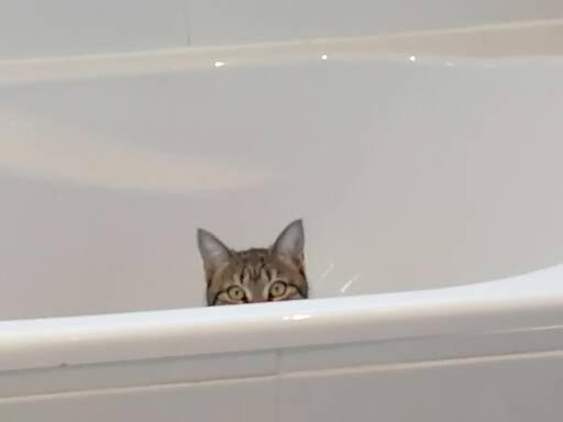 بنسيون étape 85