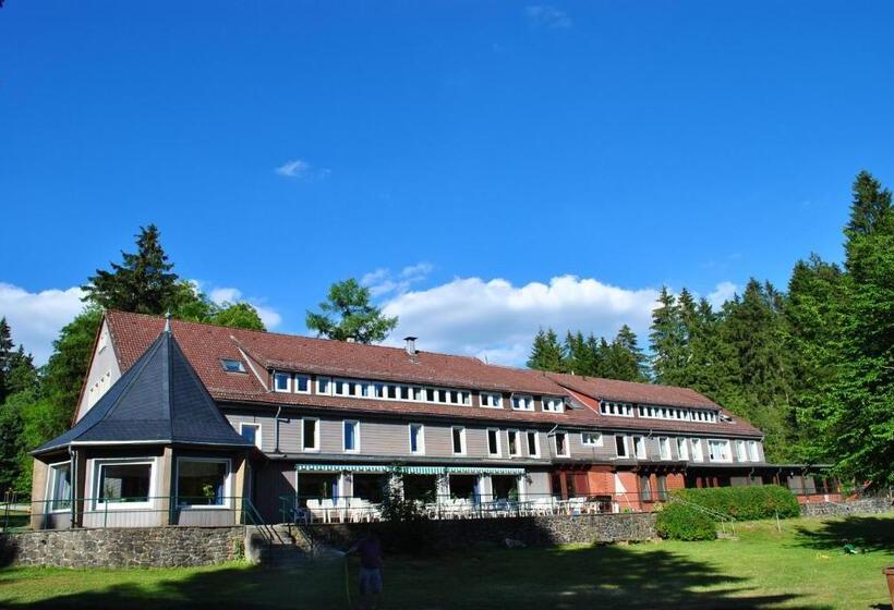 فندق صغير Flambacher Mühle