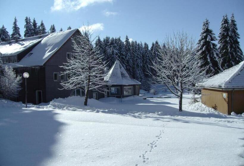 فندق صغير Flambacher Mühle