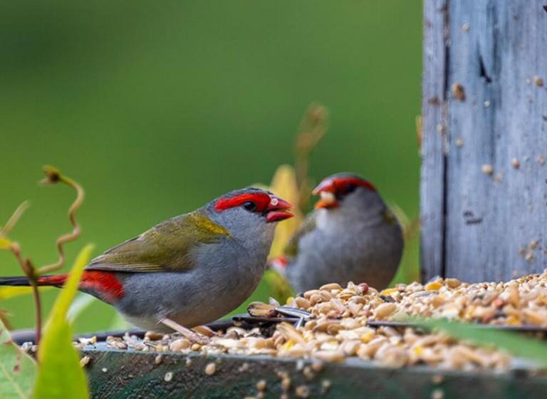 مبيت وإفطار La Dolce Vita