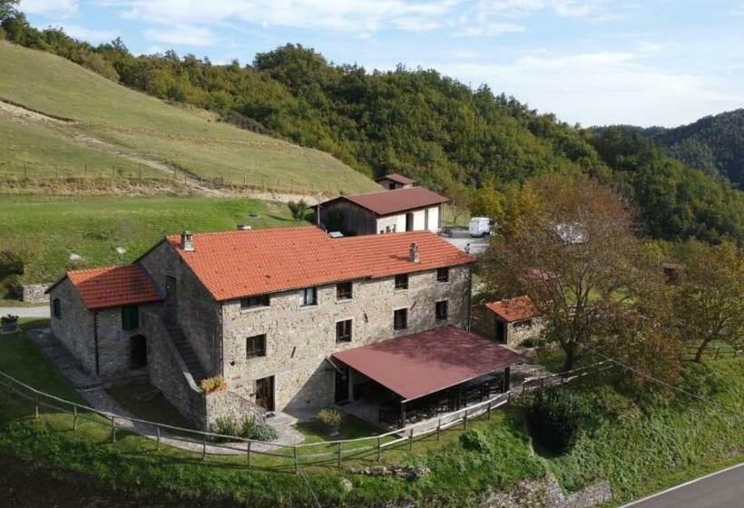 ホテル Agriturismo Cà Nova