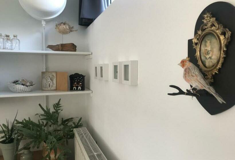 פנסיון De Vlies