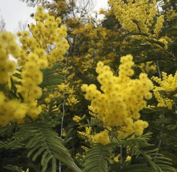 צימר Chambre D’hôtes Vaucluse
