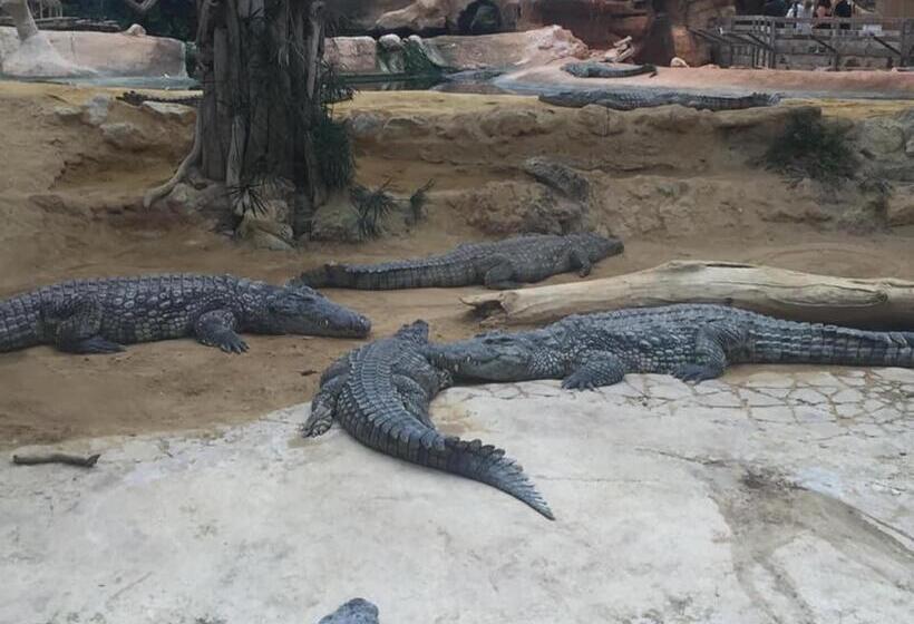 צימר Chambre D’hôtes Vaucluse