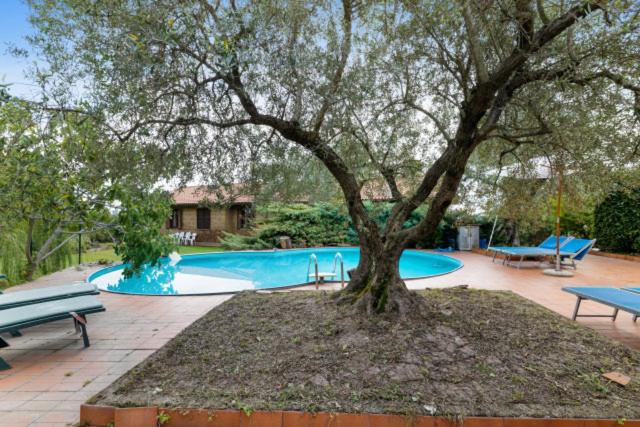 Bed and Breakfast Villa Di Charme Con Piscina E Jacuzzi Tra Roma E Viterbo