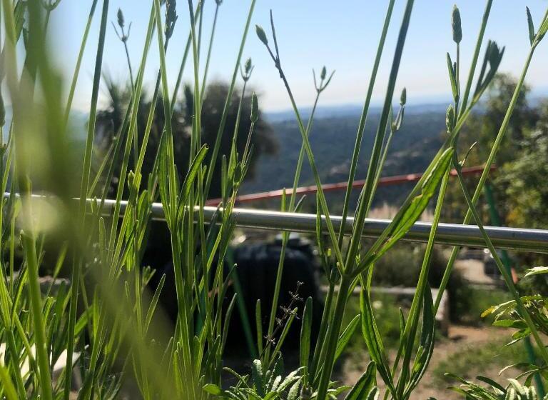 بنسيون Aux Balcons Du Riou Avec Vue Mer 180 Degrés