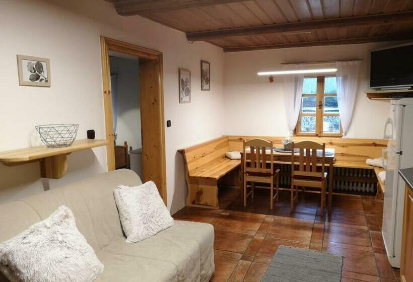 پانسیون Penzion 166   Herlíkovice