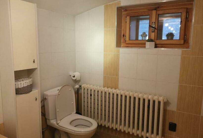 پانسیون Penzion 166   Herlíkovice