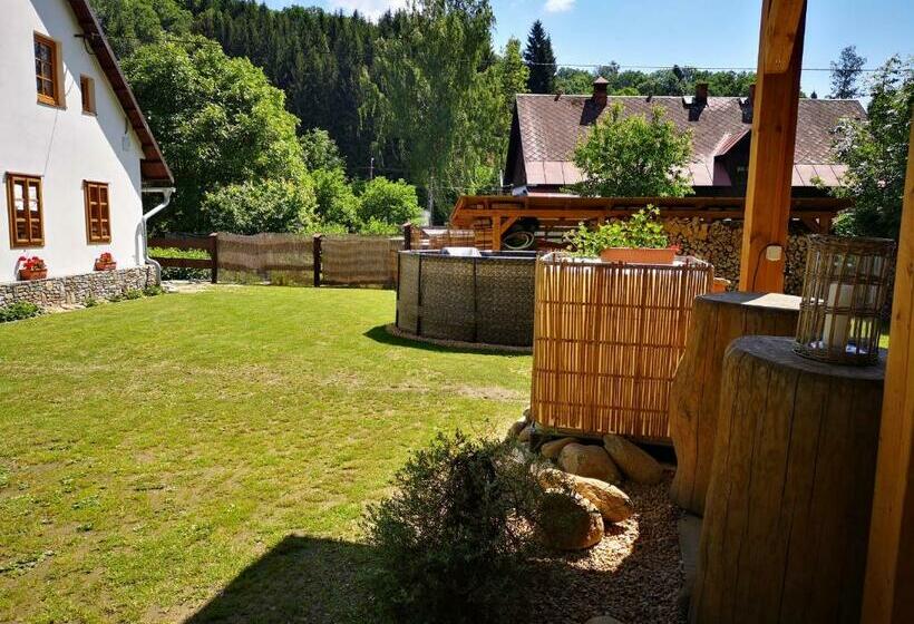 پانسیون Penzion 166   Herlíkovice