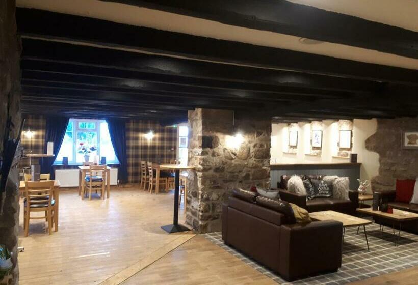 هاستل The Bulls Head